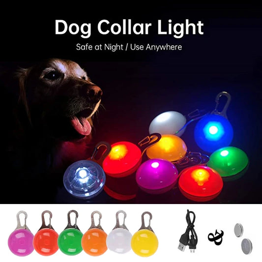 LED Hundehalsband in verschiedenen Farben